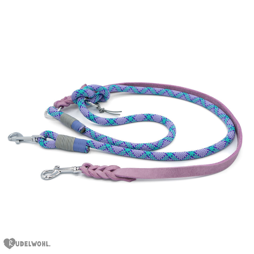 Thumbnail: Leine aus Kletterseil in bunten Farben mit rosa Leder