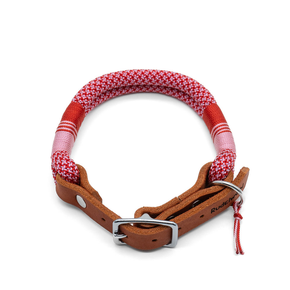 Miniaturbild: Tauhalsband in Rosa und Rot