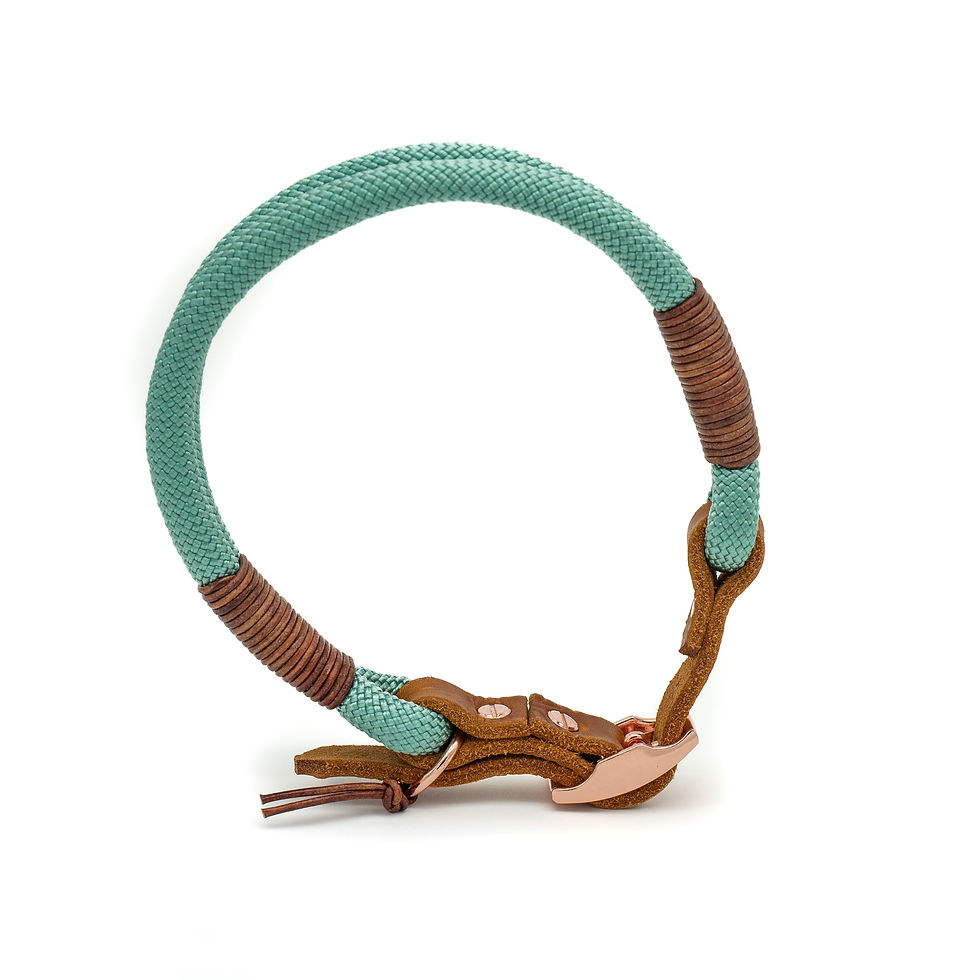 Miniaturbild: Halsband aus Tauwerk in Mintgrün mit Umwicklung aus Leder