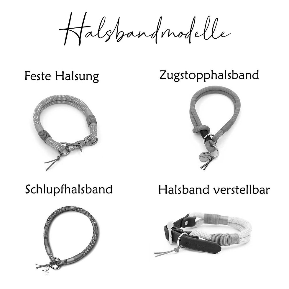 Thumbnail: Halsbänder für Hunde - mögliche Modelle