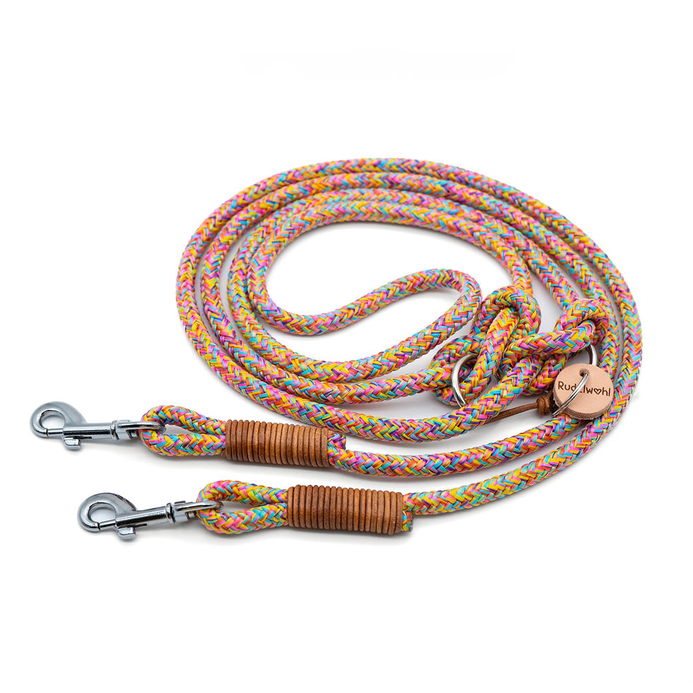 Miniaturbild: bunte Tauleine mit kleinen Karabinern mit Lederumwicklung
