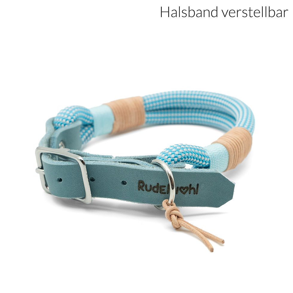 Miniaturbild: ARCTIC BLUE