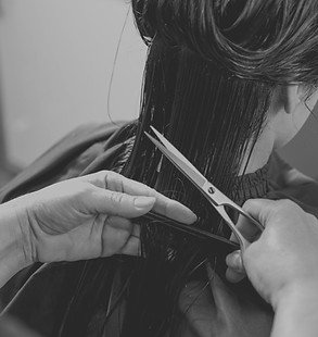 Young beautiful woman having her hair cu
