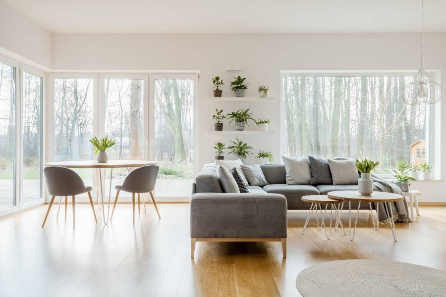 6 interior plants for a minimalist home
