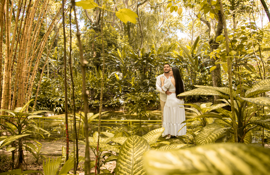 Captura de pantalla 2026-04-17 223130.png