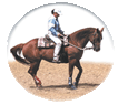 Julie cramer Débourrage,éducation,Rééducation,dressage,difficiles,travail,liberté,problèmes,comportement,entrainement,Equitation,éthologique,cheval à pied, en longe, à cheval Chevaux, poulain, jument, jeunes, Western, sport, loisir, Entraînement, compétition Pension, écurie, Rond de longe Stage, cours, séance Cavalier professionnel, performance, Communication, Ethologie, Chuchoteur, Julie cramer Débourrage,éducation,Rééducation,dressage,difficiles,travail,liberté,problèmes,comportement,entrainement,Equitation,éthologique,cheval à pied, en longe, à cheval Chevaux, poulain, jument, jeunes, Western, sport, loisir, Entraînement, compétition Pension, écurie, Rond de longe Stage, cours, séance Cavalier professionnel, performance, Communication, Ethologie, Chuchoteur, Julie cramer Débourrage,éducation,Rééducation,dressage,difficiles,travail,liberté,problèmes,comportement,entrainement,Equitation,éthologique,cheval à pied, en longe, à cheval Chevaux, poulain, jument, jeunes, Western, sport,