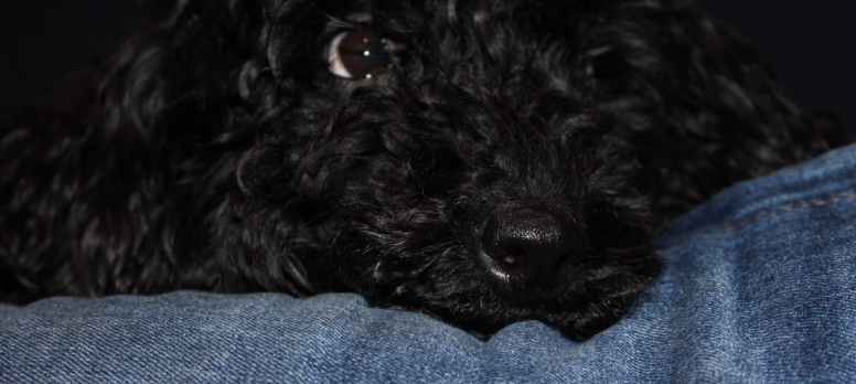 13D7511B-A05C-421F-B649-BC5DD6B05D05_edi