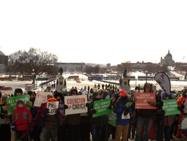 Minnesotans brave cold to speak up for voiceless at 2026 MCCL March for Life