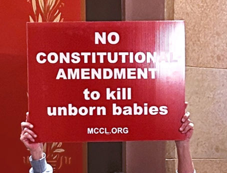 Proponents of radical amendment try for special session even after voters reject extreme agenda