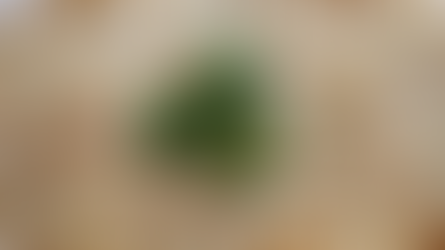 HOW TO MAKE JALAPENO POPPER DIP