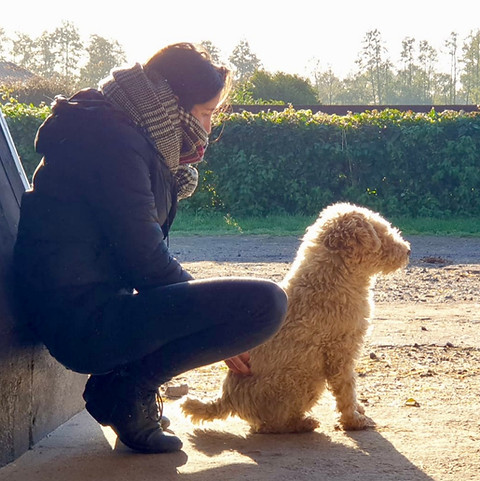 Inès Buisson, ostéopathe animalier, manipulant un chien en séance de soin