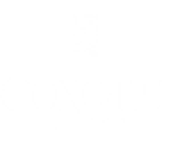 concept salon hair salon greensboro weddings