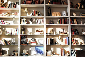 concept salon hair cut hair color