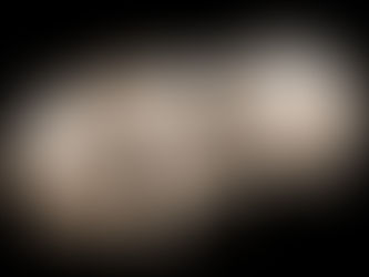 El embrión humano: un fin en sí mismo