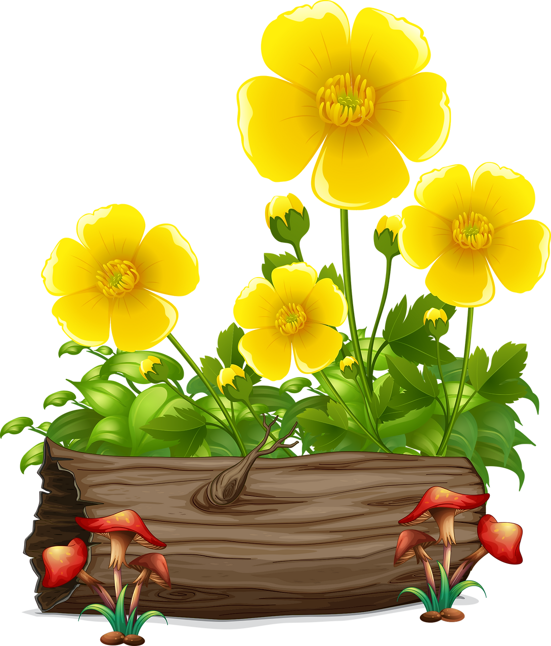 yellow flower 1.png