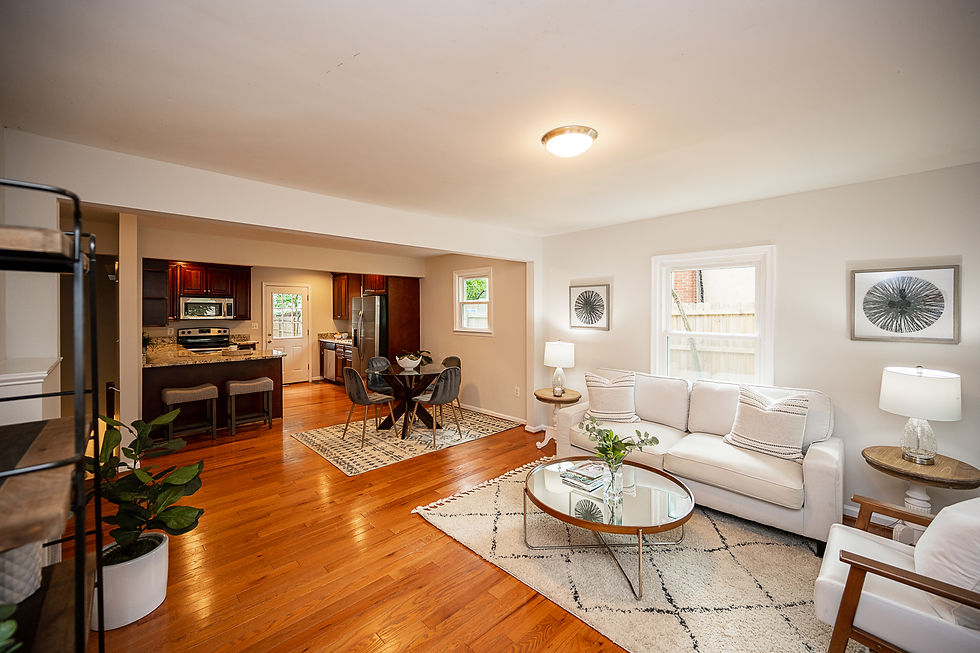 BIG LIVING ROOM