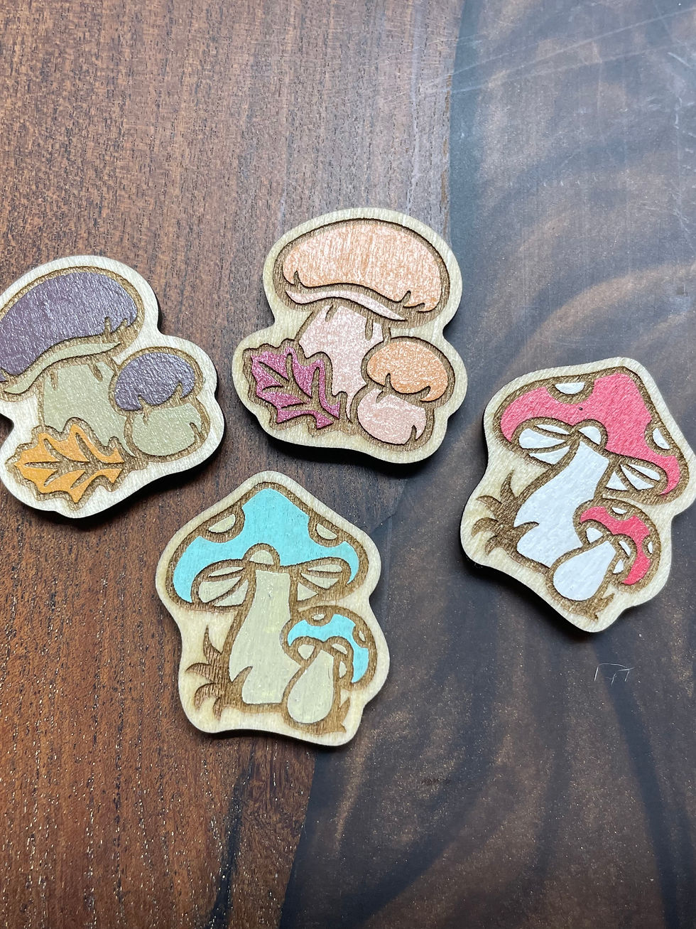 Painted Mushroom Magnets