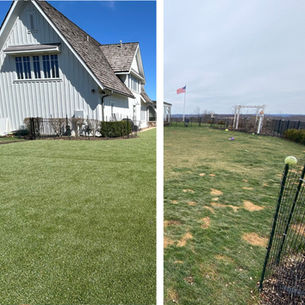 Before and after image of K9Grass installed for residential backyard