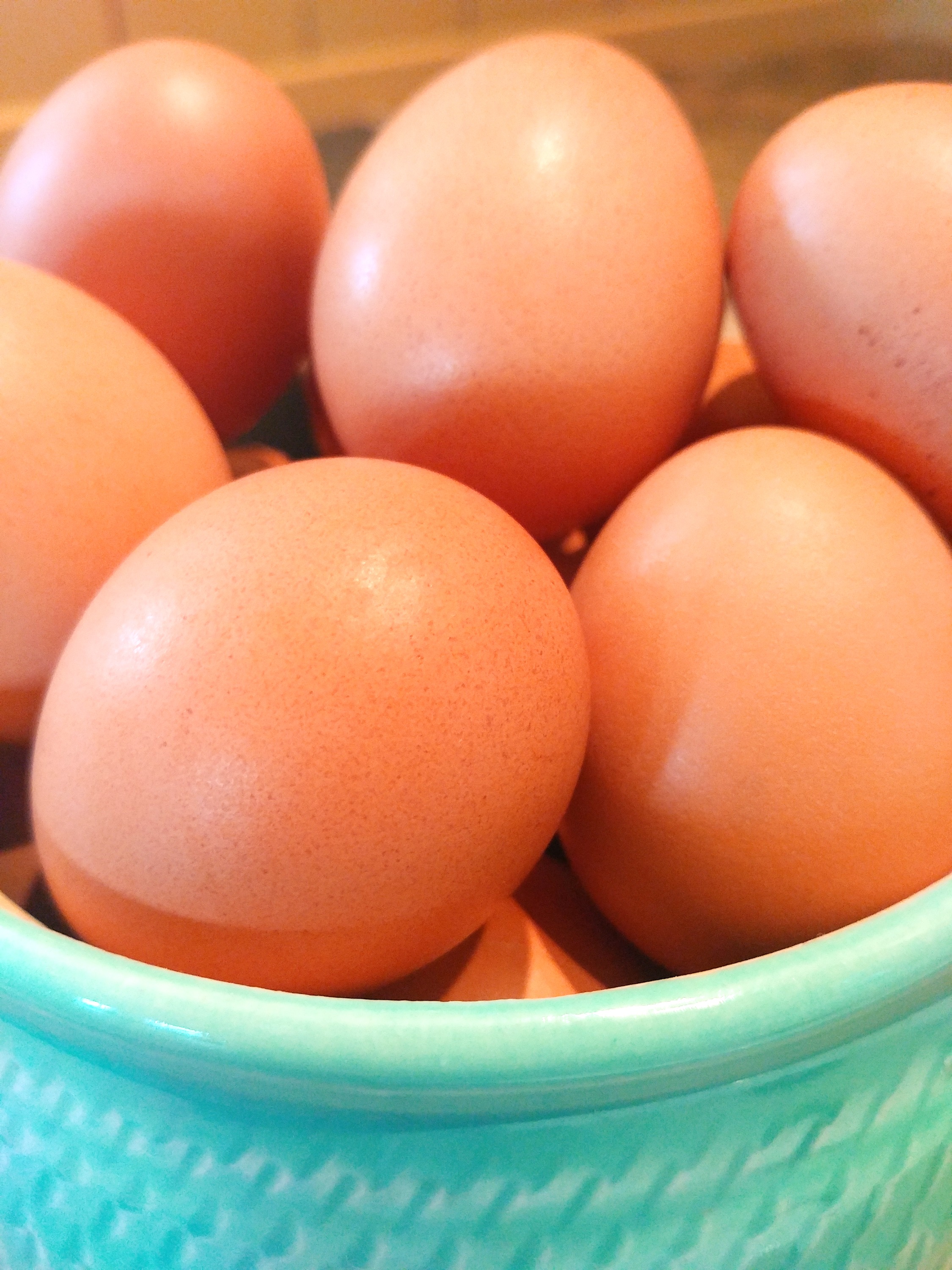 Oeufs - Eggs