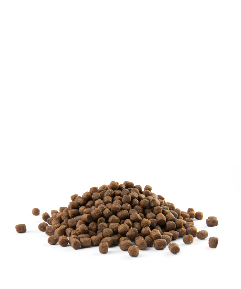 Миниатюра: Opti Life Puppy Mini
