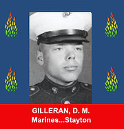 VVOMF framed fallen 270 Gilleran.jpg