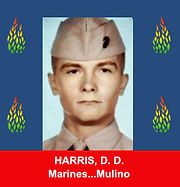 VVOMF framed fallen 309 Harris.jpg