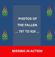TITLE 16 VVOMF framed fallen.jpg