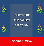 TITLE 11 VVOMF framed fallen.jpg