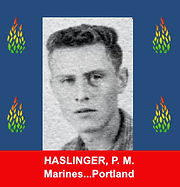 VVOMF framed fallen 313 Haslinger.jpg