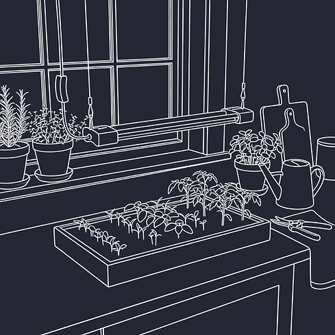 grow light lifestyle new.png