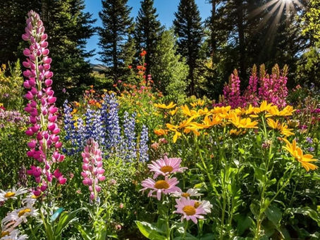 Join the Cause: Fight Cancer with Nature
