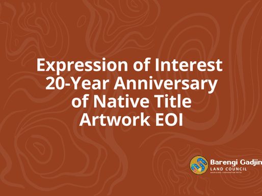 20th Anniversary of Native Title Artwork EOI