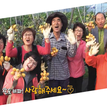 황금과 비파와인