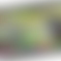 여포 와인 농장