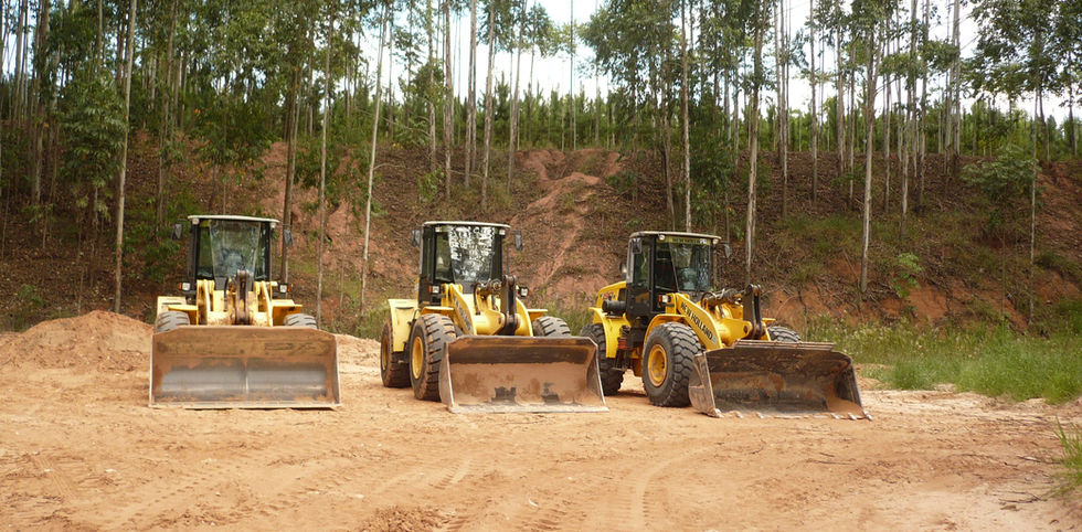 2013-08-28 16.35.17.jpg