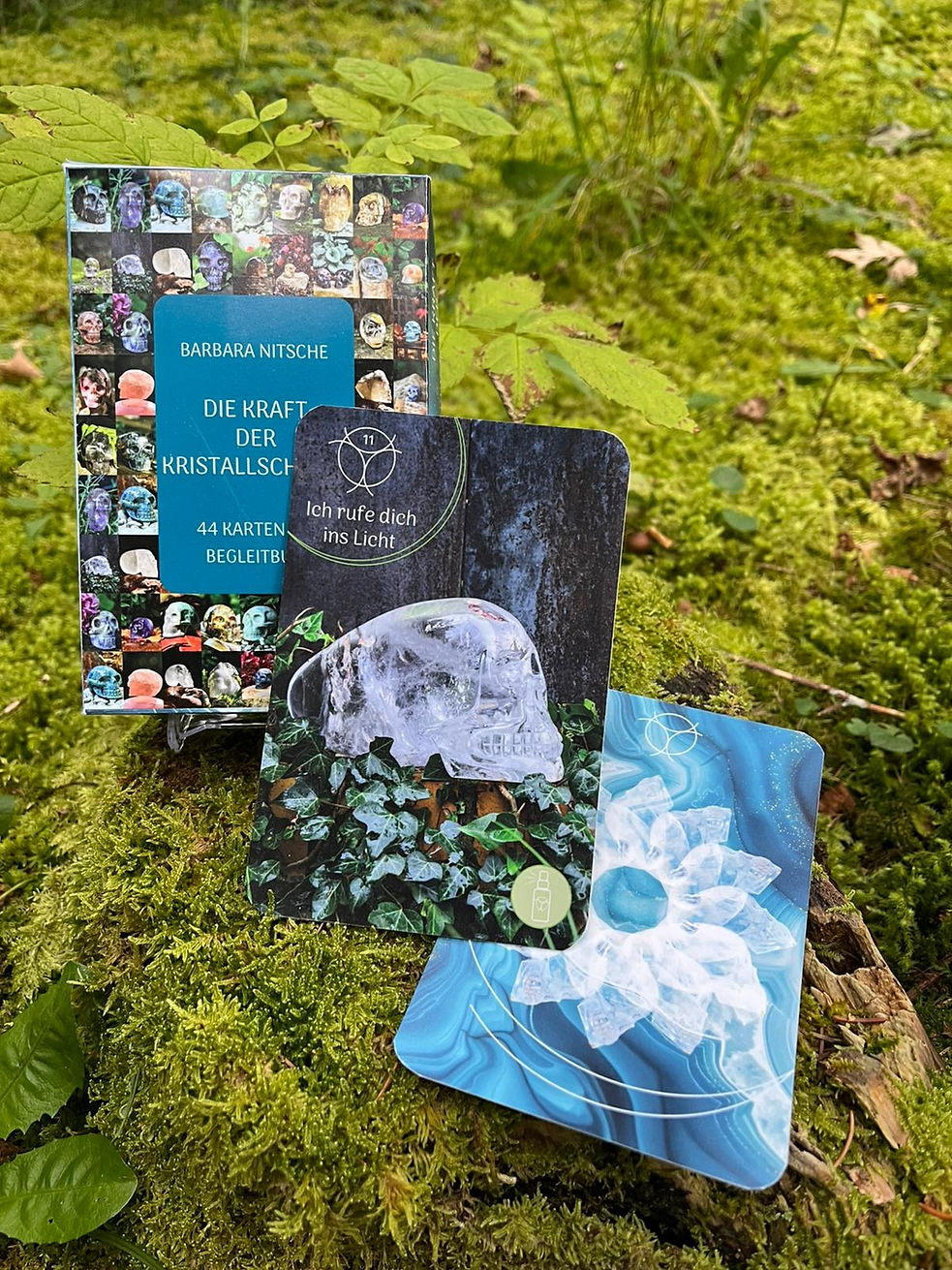 WhatsApp Image 2025-10-06 at 09.13.21 (1).jpeg