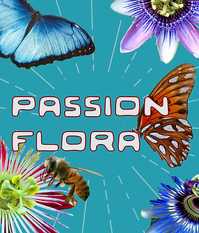 Passionflora Logo.png