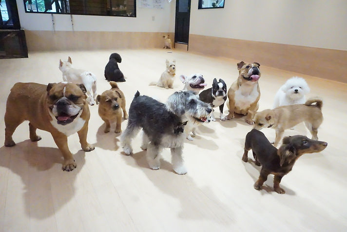 20200717_021852000_iOS (1).jpg