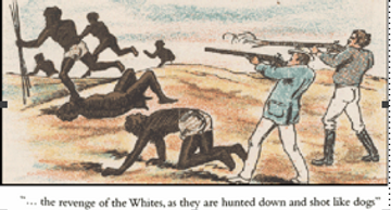 Although not directly of the genoicde that occured in Tasmania, it accurately portrays the way in which the settlers exteriminated the Tasmanians.