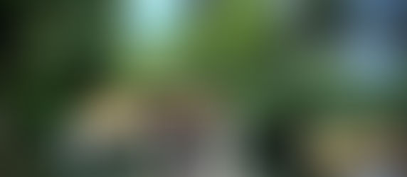 Exploring the Diverse Flavours of Indian Cuisine at Tapori, an Authentic Indian Restaurant in Bangkok