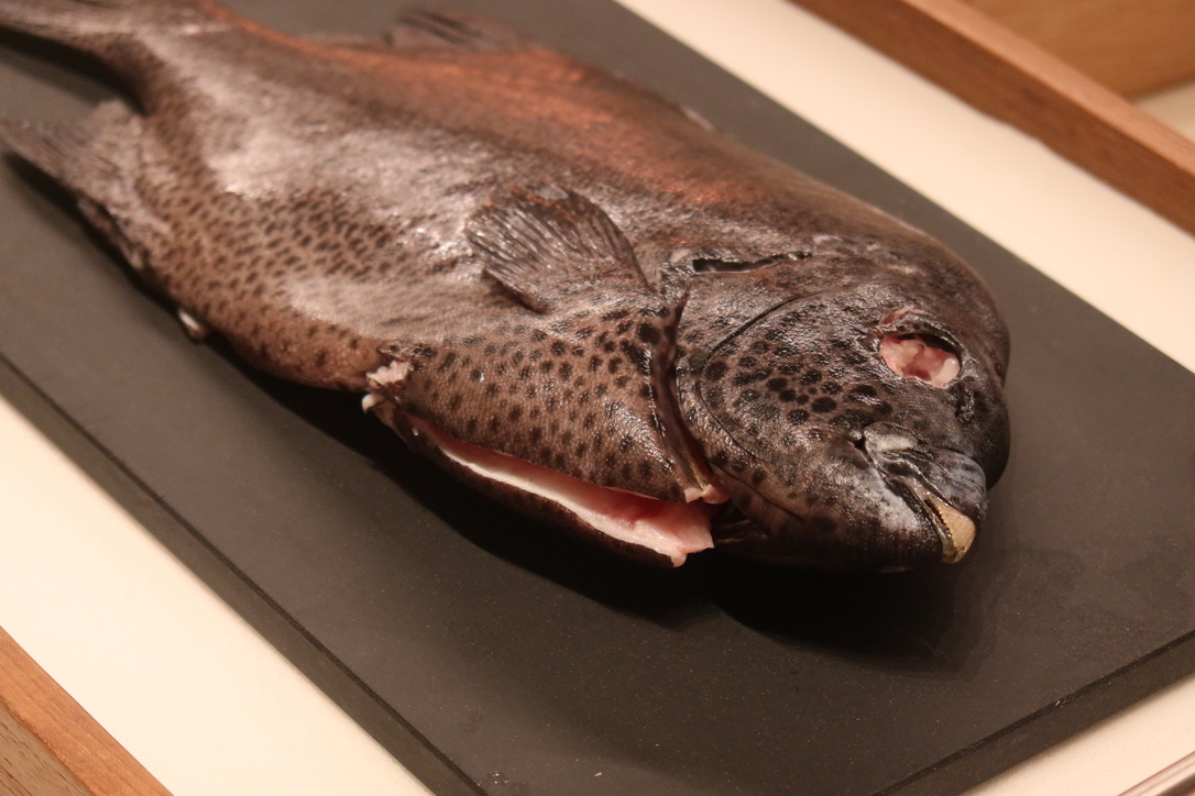 Fillets Bangkok, an Omakase Restaurant in Bangkok