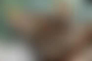 Mövenpick BDMS Wellness Resort Bangkok