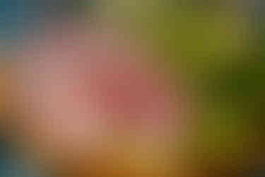 Mahasamut Suki & Seafood Bangkok