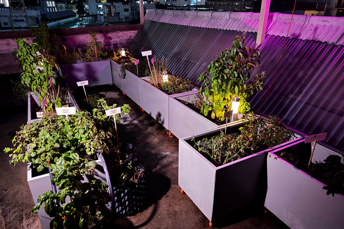 Electric Sheep, a Sustainable Restaurant in Bangkok