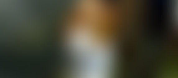 Get Nuts with Coconut Culture, an Ice Cream Parlour in Bangkok That Offers Nostalgic Thai Coconut Ice Cream and Twists