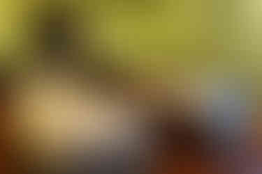 The Sukhothai Bangkok Hotel