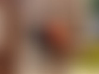 Exploring the Culinary Landscape: From Tribal Cuisines to Gourmet Dining