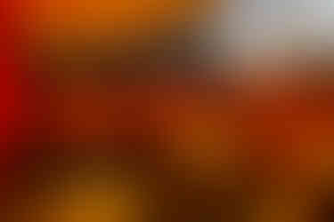 Electric Sheep, a Sustainable Restaurant in Bangkok