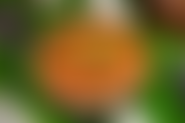 Pavilion Restaurant at Dusit Thani Bangkok, One of Bangkok's Best Places for a Sunday Brunch