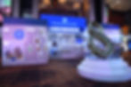Copy of DSC_2721.JPG